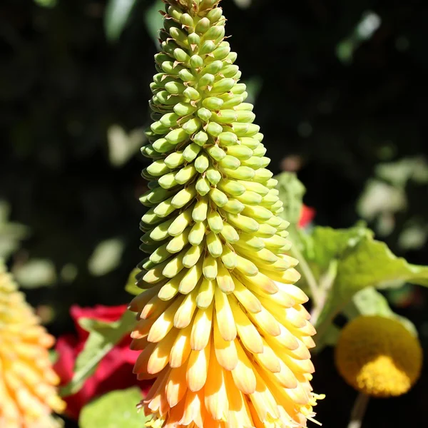 德州扑克app棋牌游戏